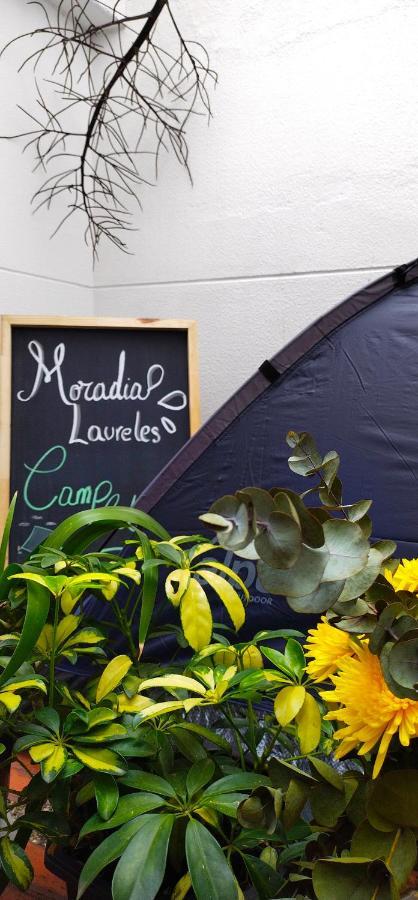 Apartamento Moradia Laureles Medellín Exterior foto